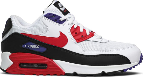 Nike Air Max 90 Essential 'Raptors'