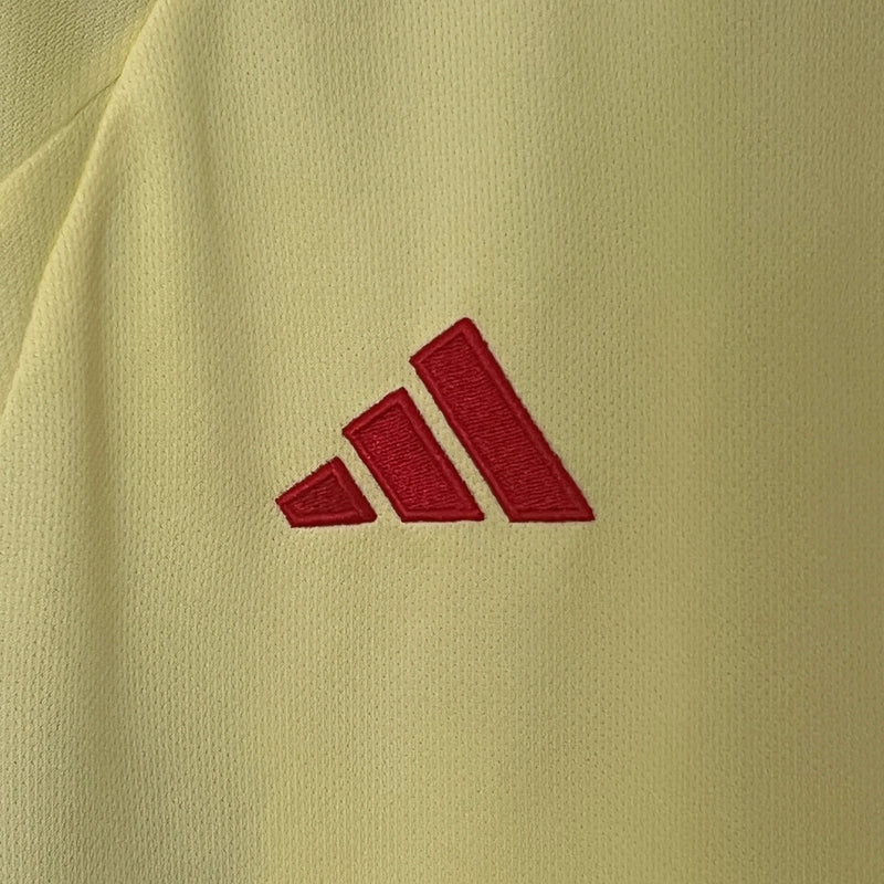 País de Gales 2024/25 Away - Adidas - Amarela