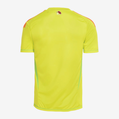 Camisa Adidas Flamengo 2025/26 I Goleiro